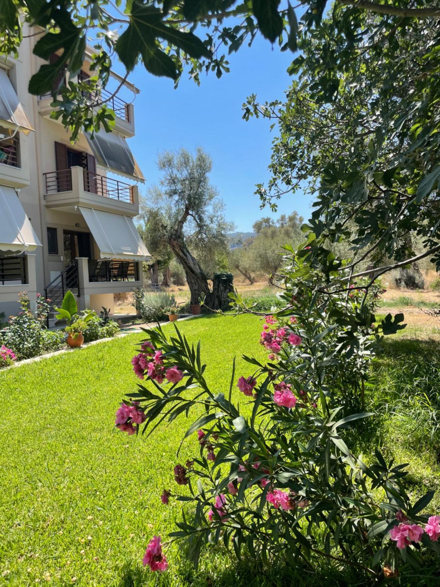 Asanis 2 Apartment Lefkada City ภายนอก รูปภาพ